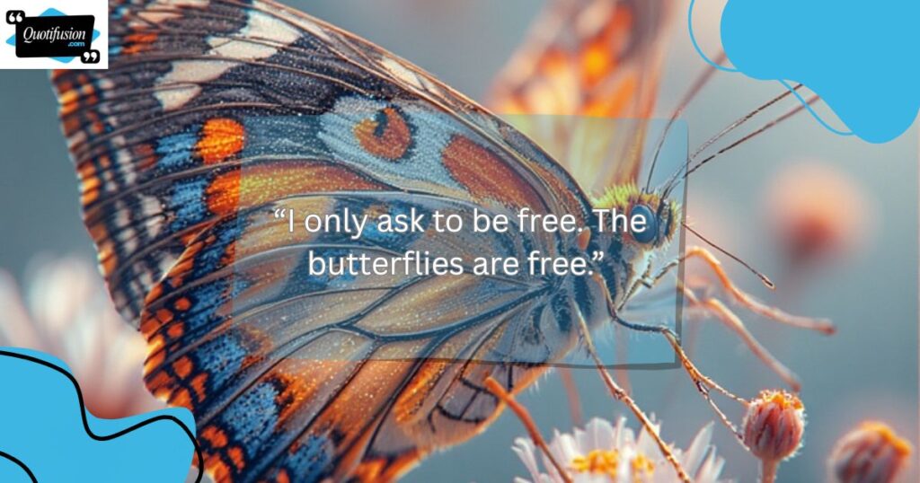 Cute Butterfly Quotes