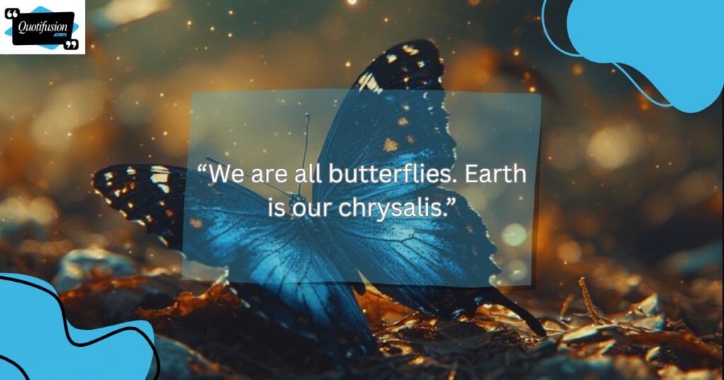 Short Butterfly Quotes