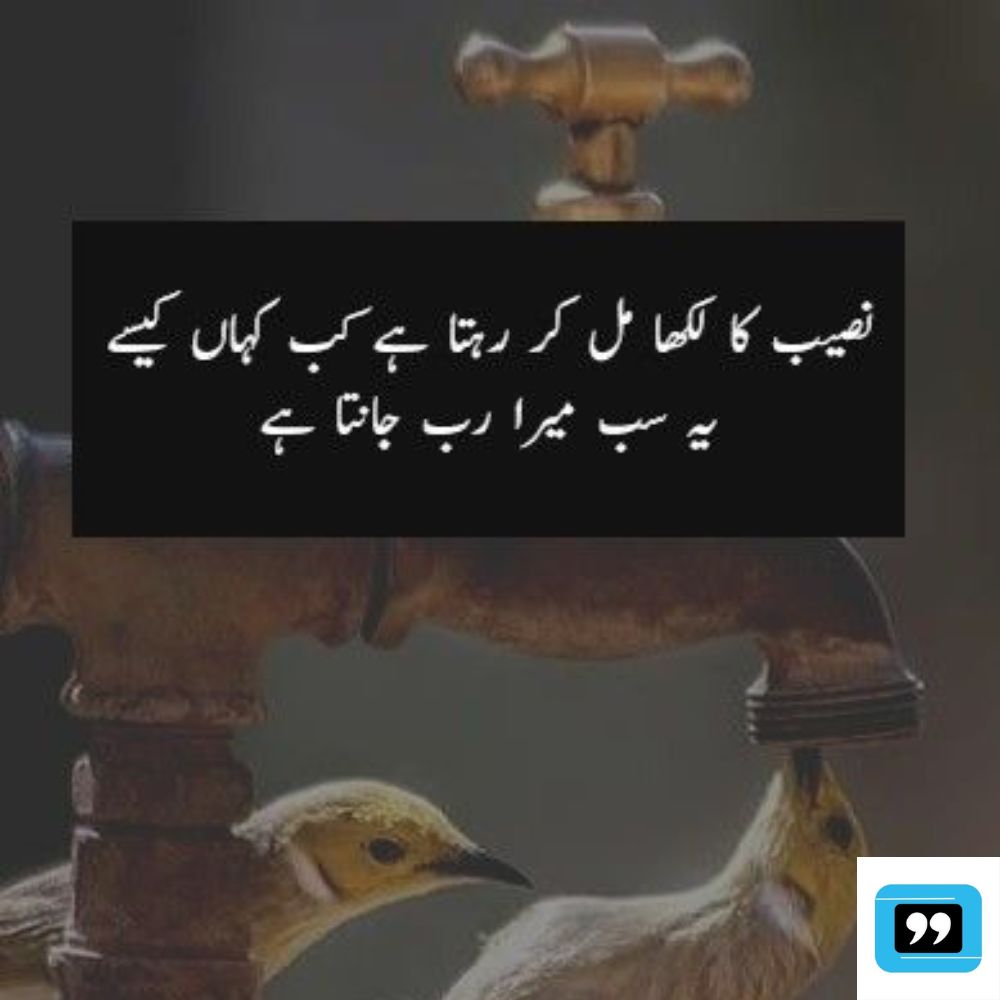 islamic quotes in urdu text