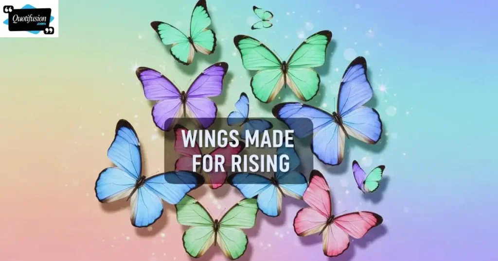 Butterfly Quotes for Instagram