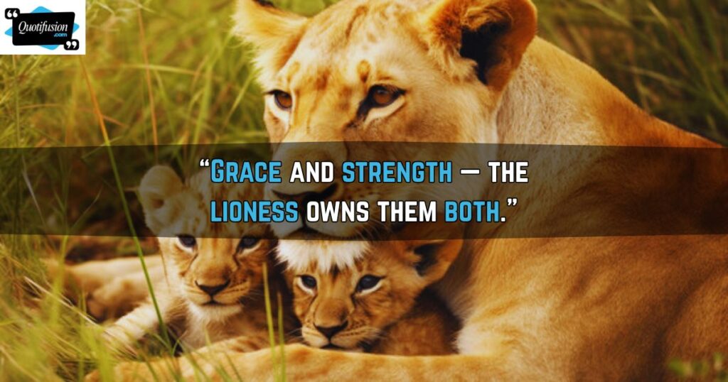 Female Lion Quotes