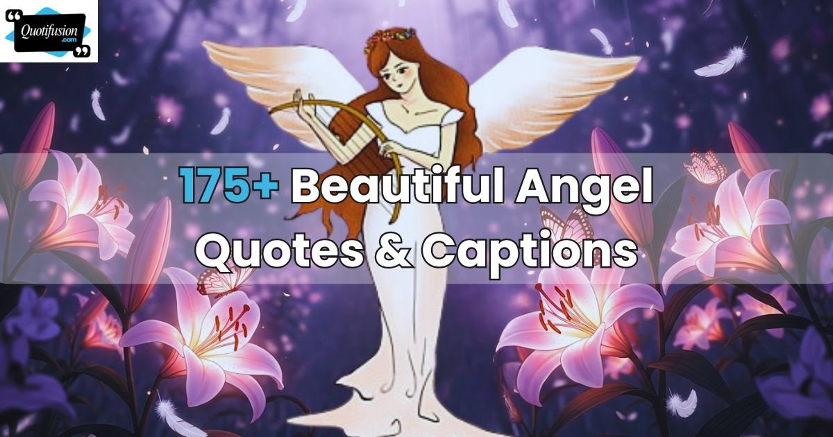 Angel Quotes