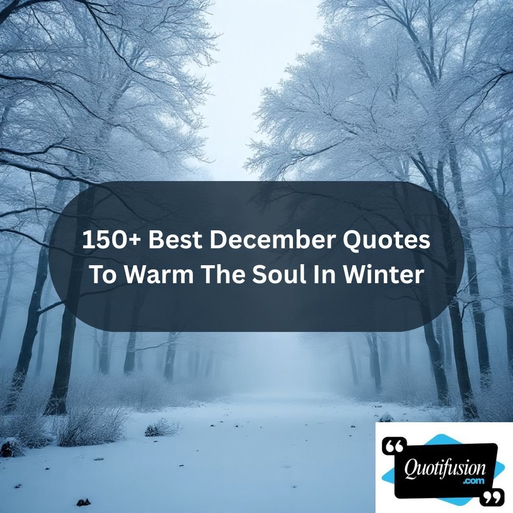 150+ Best December Quotes To Warm The Soul In Winter