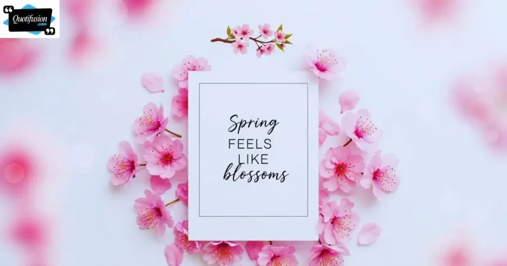 Aesthetic Sakura Quotes for Spring Vibes