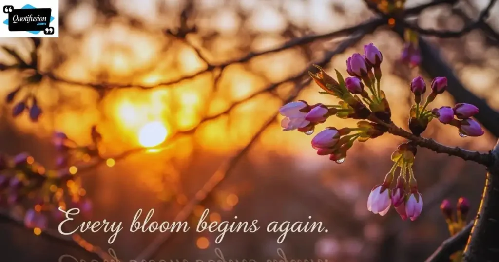Cherry Blossom Quotes About New Beginnings